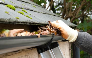 gutter cleaning Newhall