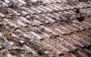 Newhall roof cleaning companies